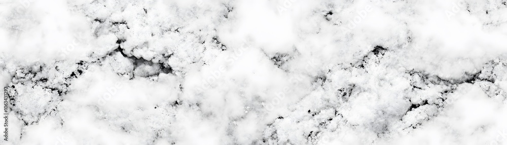 Close-up of White and Black Marble Surface with Veins Close-up of White and Black Marble Surface with Veins