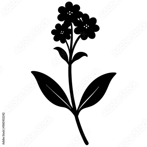 Verbena flower silhouette vector illustration