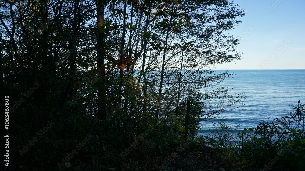 Obraz premium Peaceful Lake View Through Forested Frame