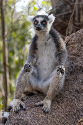 Anja Community Reserve photo