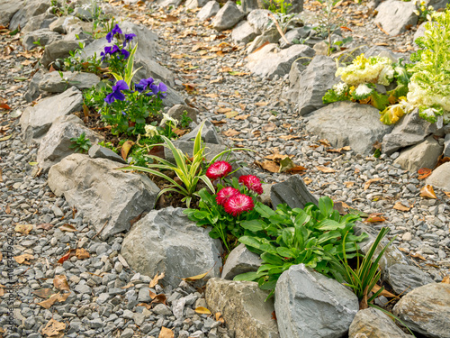 Decorative flowers grow among an artificial stone ridge photo