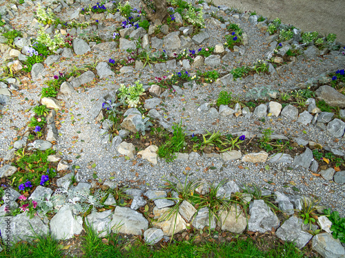 A labyrinth of stones with flowers planted among them photo