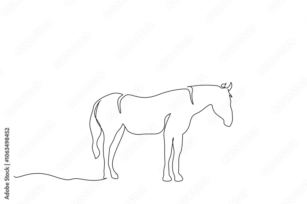 beautiful horse nature calm freedom one line art design vector beautiful horse nature calm freedom one line art design vector