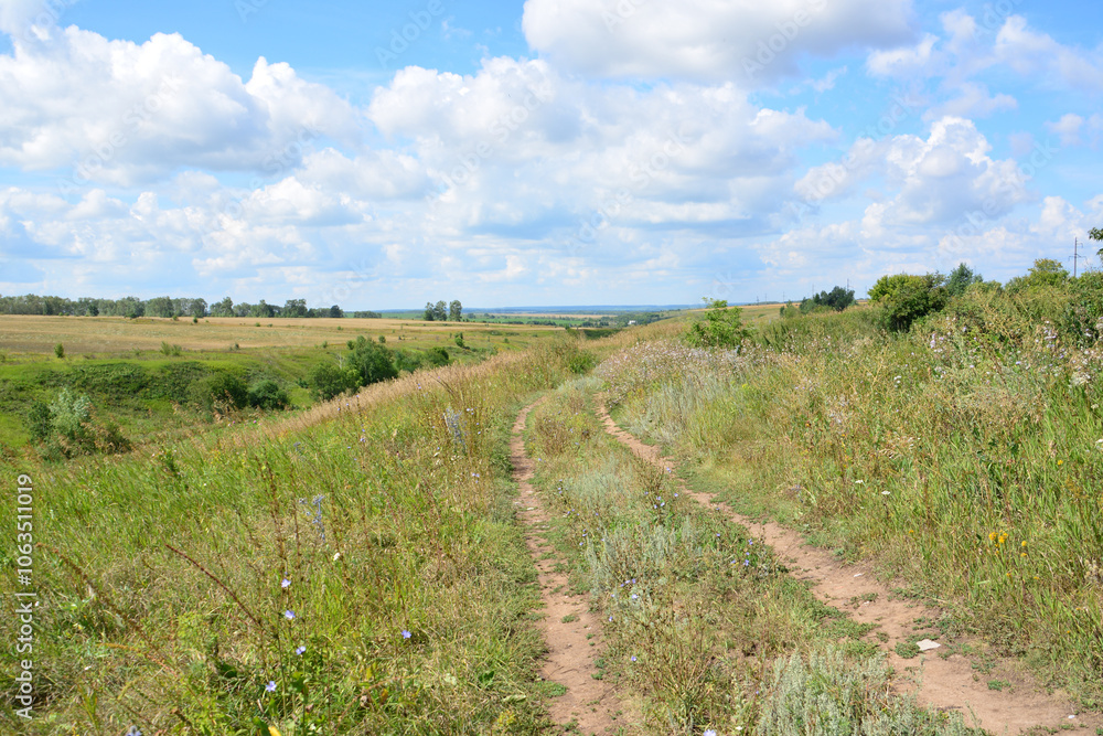 a path that leads to a valley with green field and blue sky with clouds a path that leads to a valley with green field and blue sky with clouds