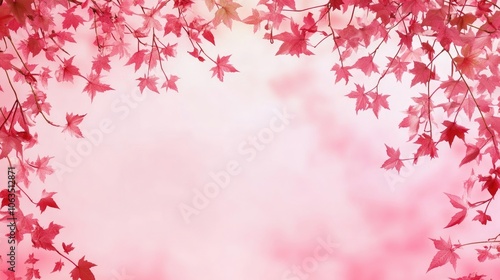 Horizontal composition of pink backdrop adorned with vibrant maple leaves, creating a visually appealing scene. The pink background enhances the maple leaves, providing ample copy space.