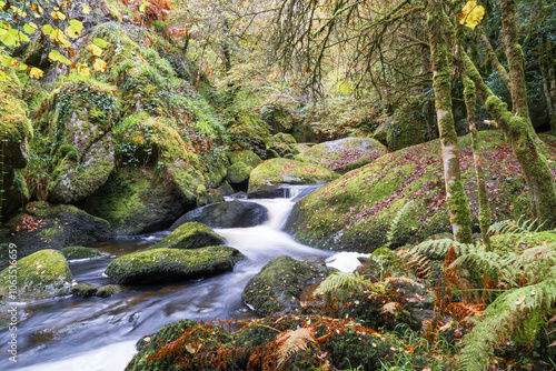 La forêt d'Huelgoat en automne, où la rivière d’Argent coule doucement entre les chaos granitiques et les feuilles qui arborent leurs plus belles teintes dorées. photo