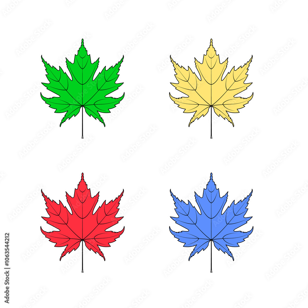 maple leaf illustration maple leaf illustration
