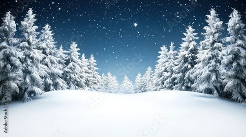 Wallpaper Mural Enchanting Snowy Forest at Night: Winter Wonderland Background Torontodigital.ca