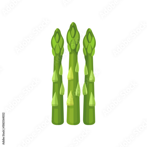 2D flat vector illustration asparagus icon isolated on a white background.