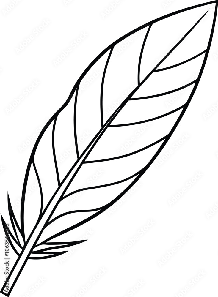 Hand drawn featherline art vector illustration Hand drawn featherline art vector illustration