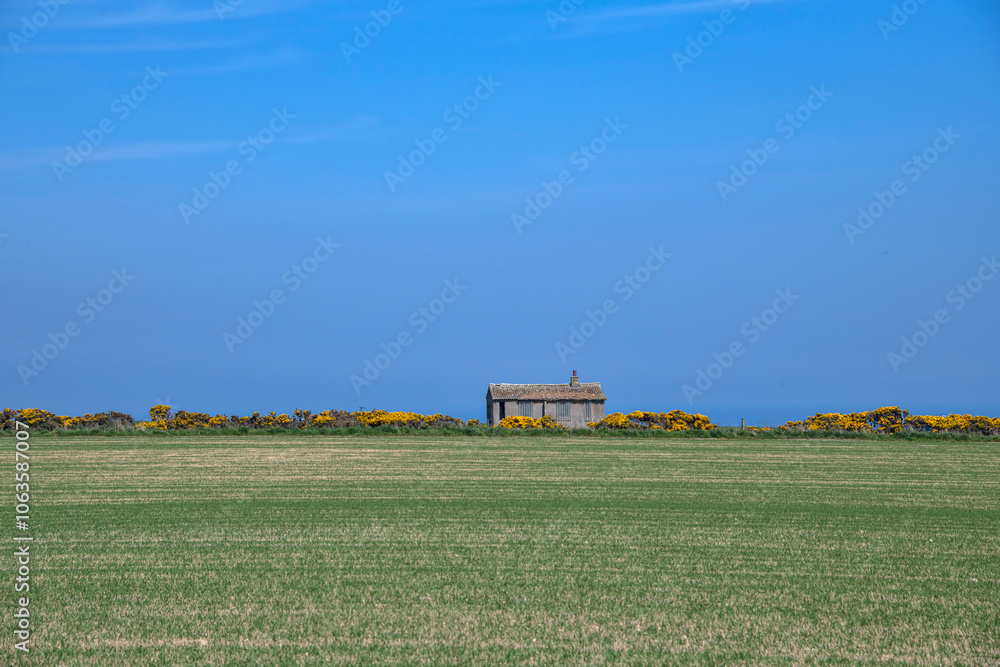 Fototapeta premium Wick Escocia (Wick Scotland ) | Wick