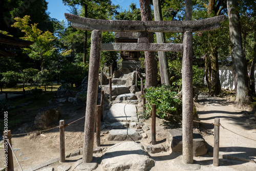 Obraz na płótnie Japanese garden in Ginkakuji Temple, Kyoto, Japan w salonie