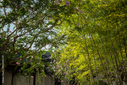 Photography Zuibaichi Park, Songjiang District, Shanghai, China