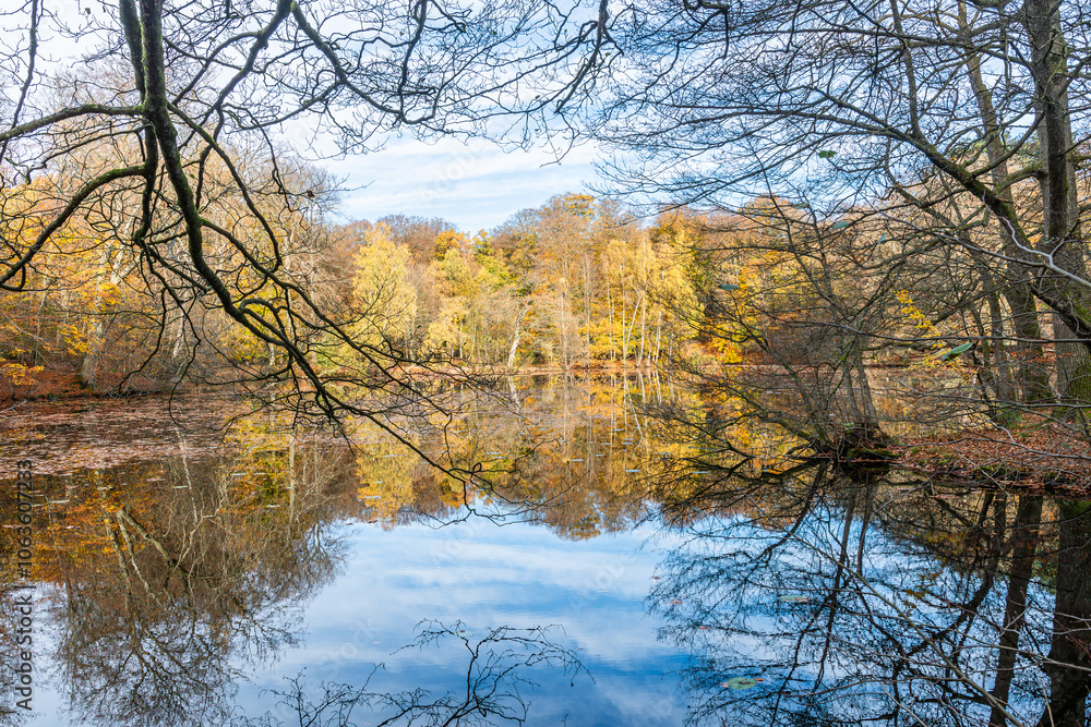 Obraz premium Autumn in Denmark 