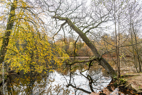 Autumn in Denmark 