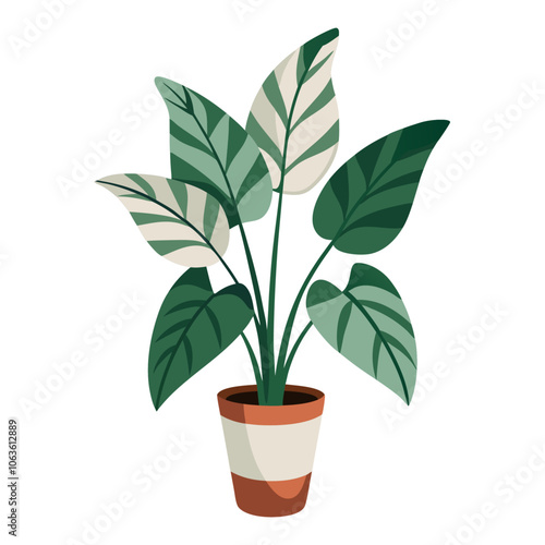Calathea Orbifolia in pot, house plant flat style isolated. Vector illustration