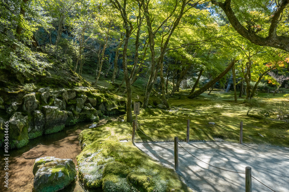 Japanese garden in Ginkakuji Temple, Kyoto, Japan