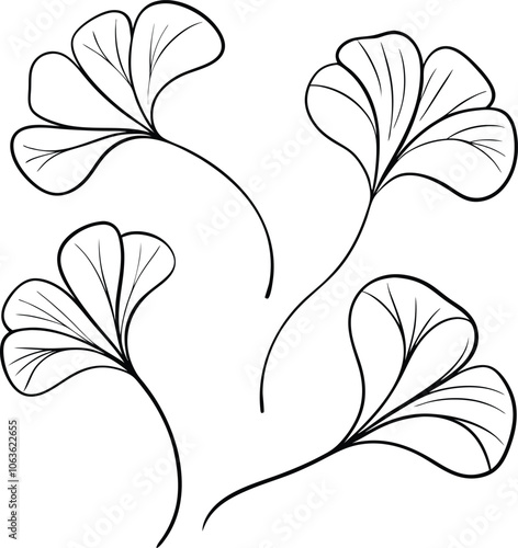 Set of single black one line drawing Ginkgo Leaf concept. Continuous line draw design graphic vector