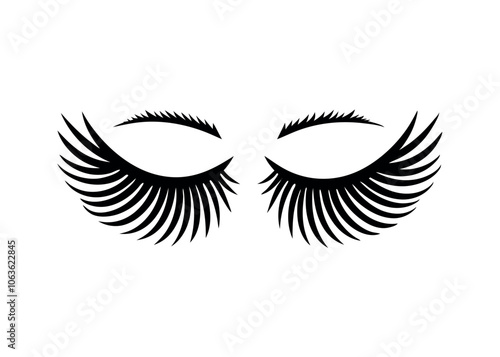 Stylized Black Eyelashes Design With Intricate Detailing for Beauty and Fashion