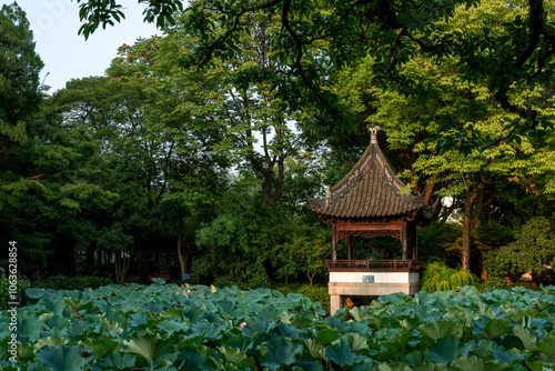 Photography Qushuiyuan, Qingpu District, Shanghai, China