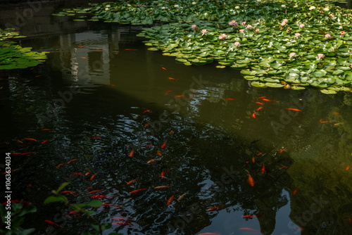 Photography Qushuiyuan, Qingpu District, Shanghai, China