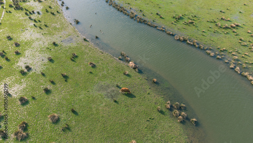 Aerial View of Landscape in Dutch National Park near the Village of Werkendam, North Brabant, Netherlands photo