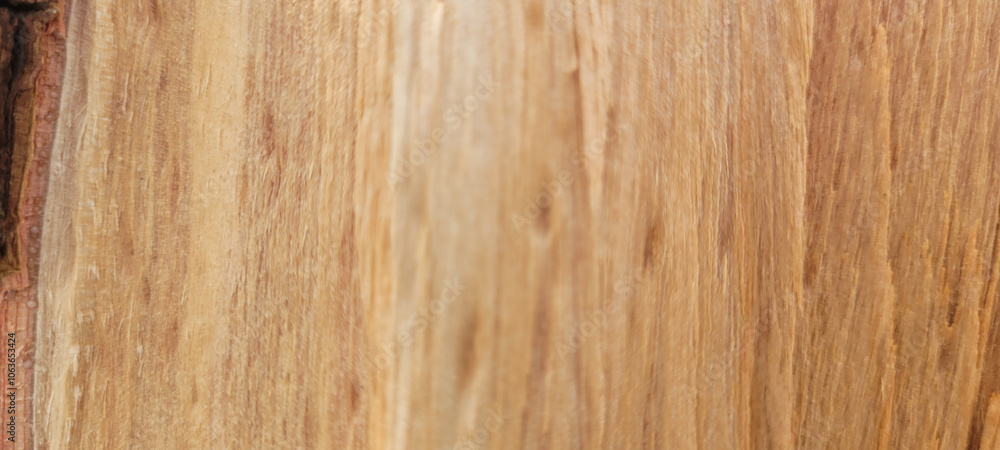 Obraz premium rustic light wooden background