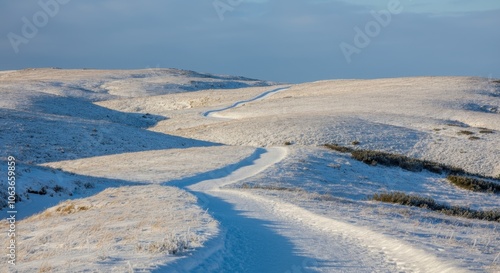 Serene winter landscape with -covered winding path