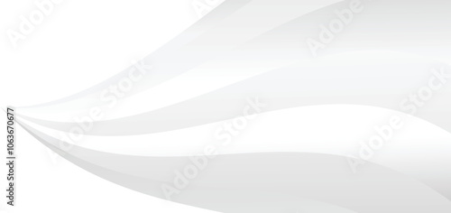 abstract white background with gradient color and Abstract white and gray background. 