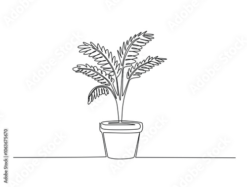 Continuous one line drawing of potted palm plant. Palm houseplant in single line draw vector illustration. Editable vector.