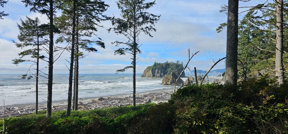 Obraz premium view of the beach