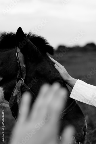 person and horse