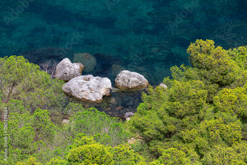 Wallpaper Mural Coastal green trees in harmony with aquatic landscape. Aerial view of treetops and rocks in the sea water Torontodigital.ca