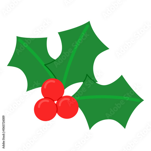 holly berries and leaves illustration