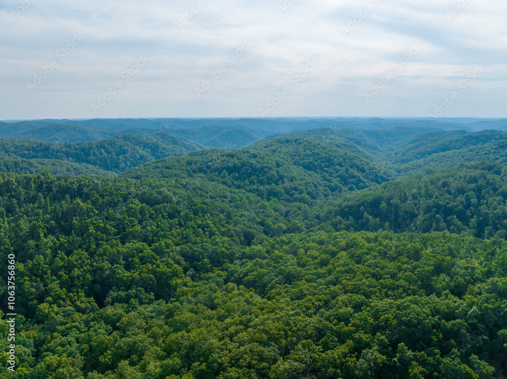 Aerial View of Verdant Rolling Hills in the Appalachian Wilderness