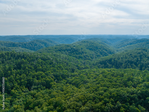 Obraz na płótnie Aerial View of Verdant Rolling Hills in the Appalachian Wilderness w salonie
