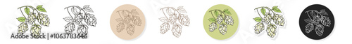 Vector set of isolated beer green hop cones, leaves with stem. Beer alcohol drink, brewery industry floral symbol isolated illustration on a color background. 