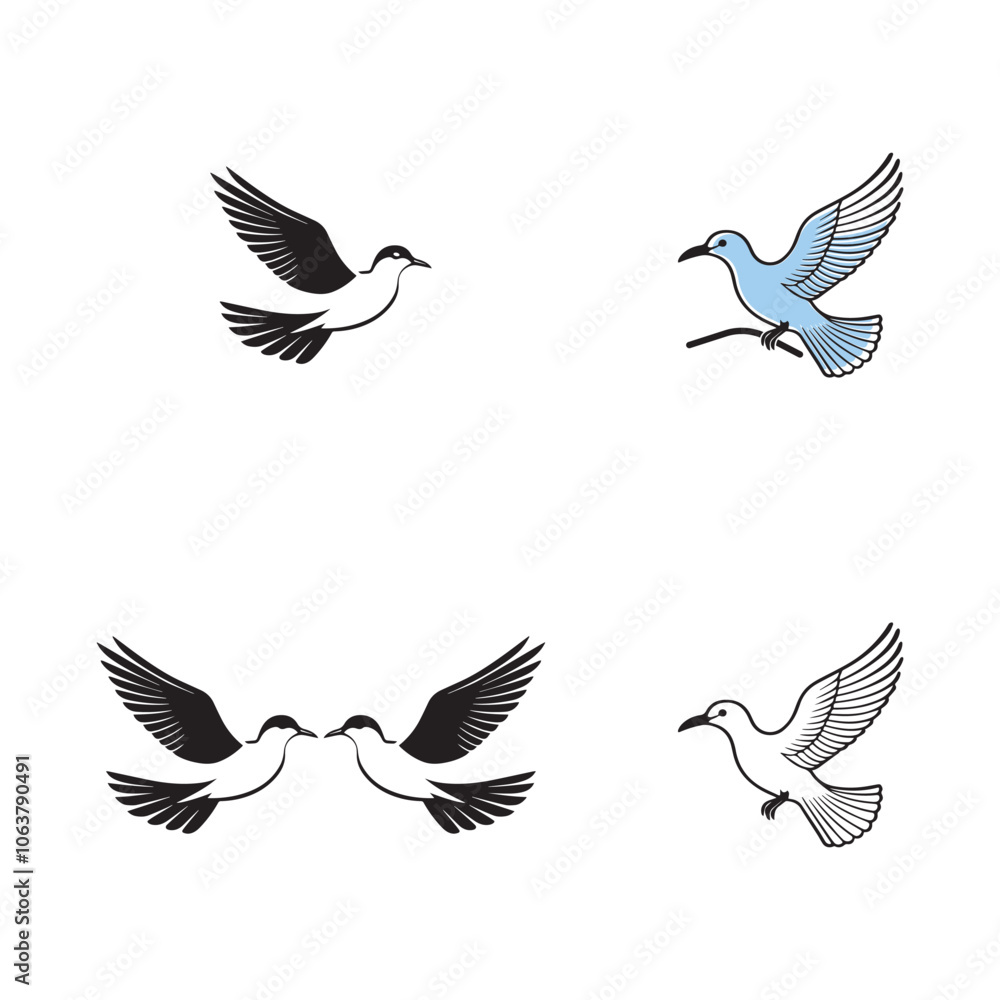 Fototapeta premium Seagul bird logo icon vector