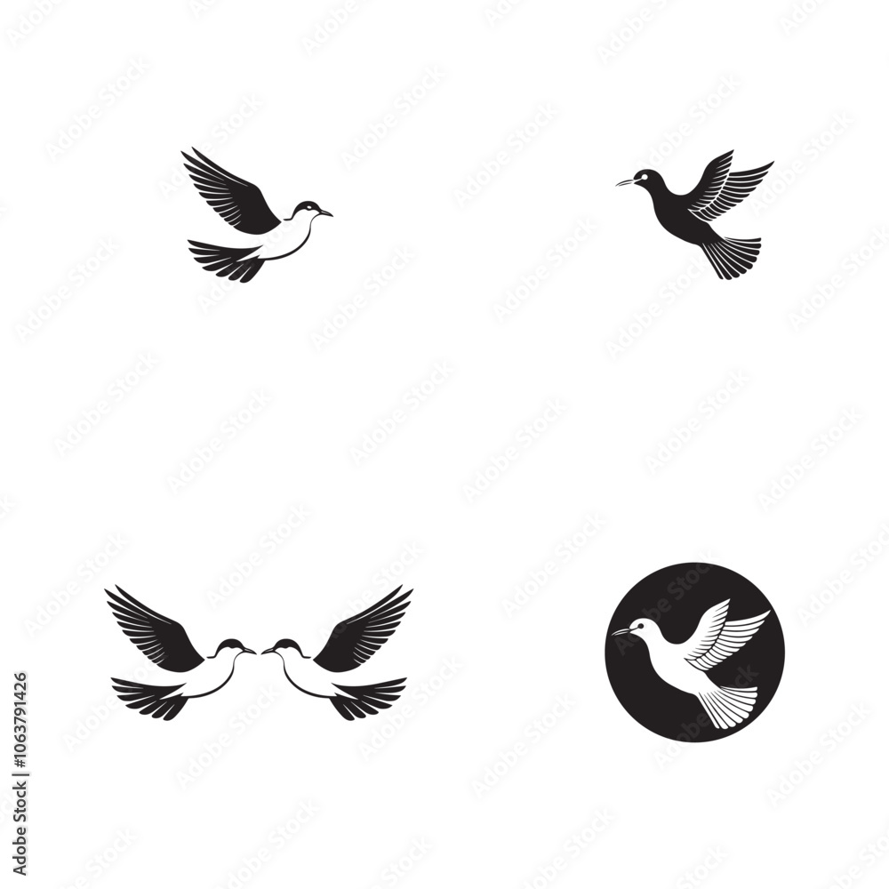 Obraz premium Seagul bird logo icon vector