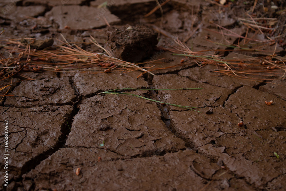 Dried cracked mud water erosion Dried cracked mud water erosion