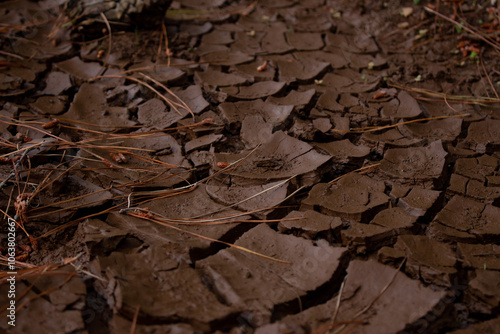Картината върху платно Dried cracked mud water erosion