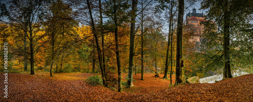 autumn in the forest