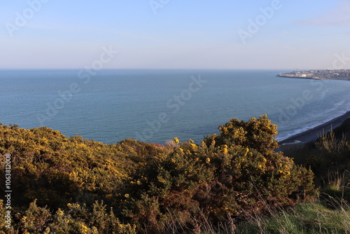 Obraz na plátně Bray Greystones walk