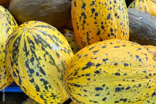 Obraz na płótnie Fresh and sweet Turkish melons displayed in the market in Turkey w salonie