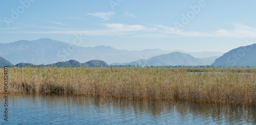 Obraz na płótnie Landscape of reed grasses along Dalyan River in Turkey w salonie