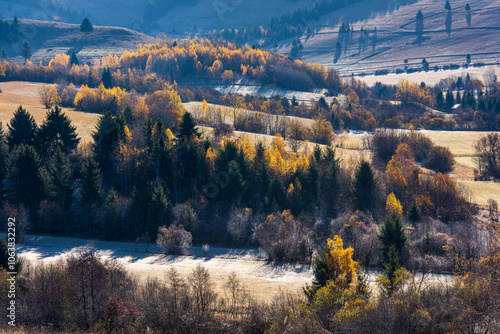 Dramatic landscape of a autumn mountain forest trees.