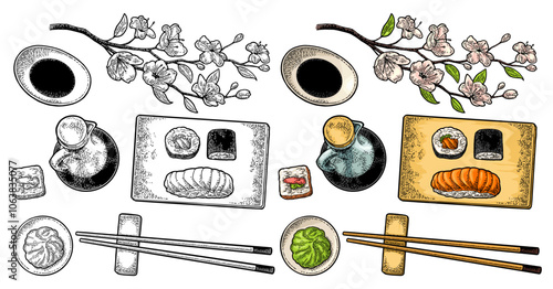 Set Sushi. Chopsticks, wasabi, nigiri, rolls maki, masago, wood board, soy sauce, bottle, bowl, sakura cherry branch with flowers and bud. Isolated on white. Vintage color vector engraving