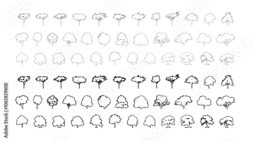 Minimal style cad tree line drawing, Side view, set of graphics trees elements outline symbol for architecture and landscape design drawing. Vector illustration in stroke fill in white. Tropical, oak