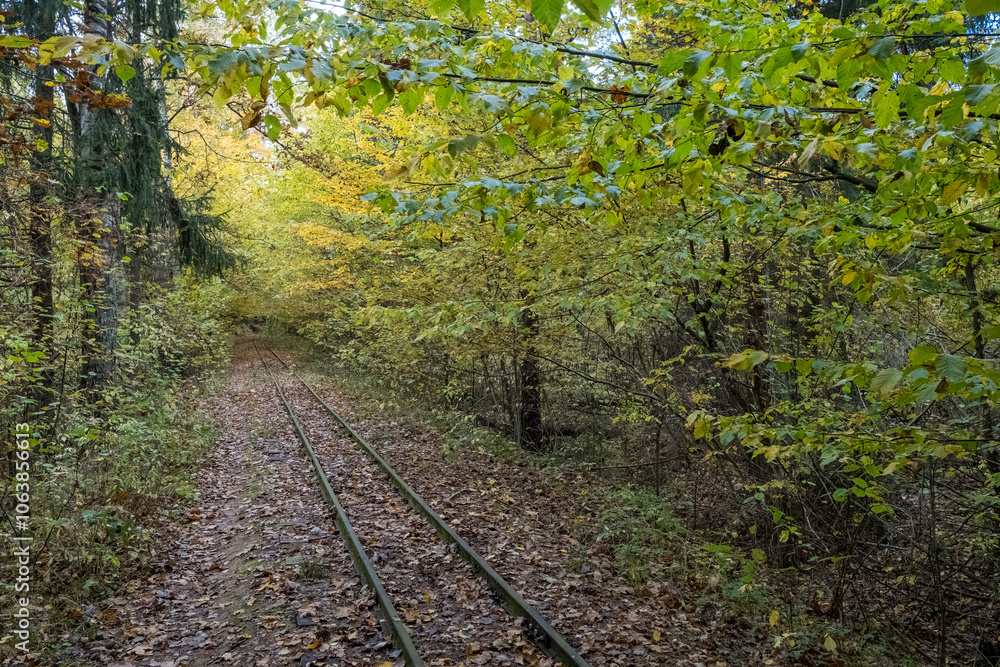 A narrow-gauge railway in the Białowieza Forest, with an autumn atmosphere