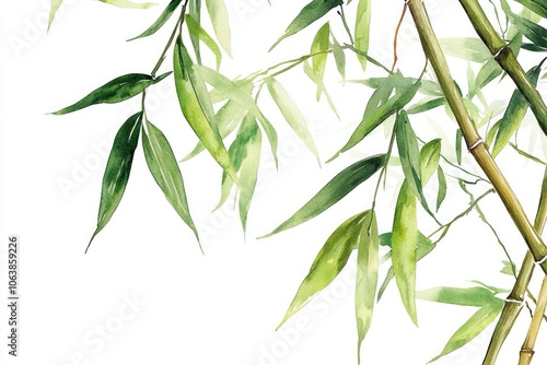 Watercolor Bamboo Forest Illustration on White Background